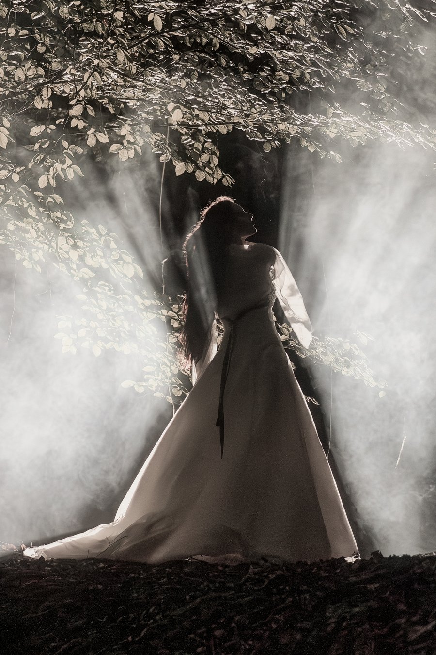 After-Wedding-Shooting — Braut im nebligen Wald, Gegenlicht durch die Bäume